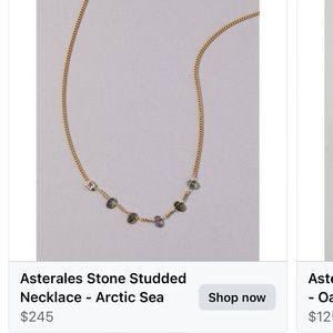 Alexis Bittar Asterales stone studded necklace -arctic sea-nwt